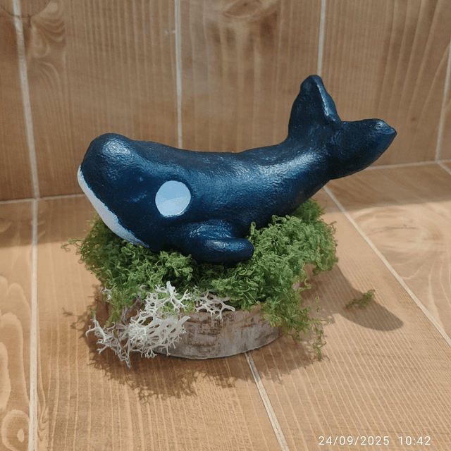Darumas "Baleine"