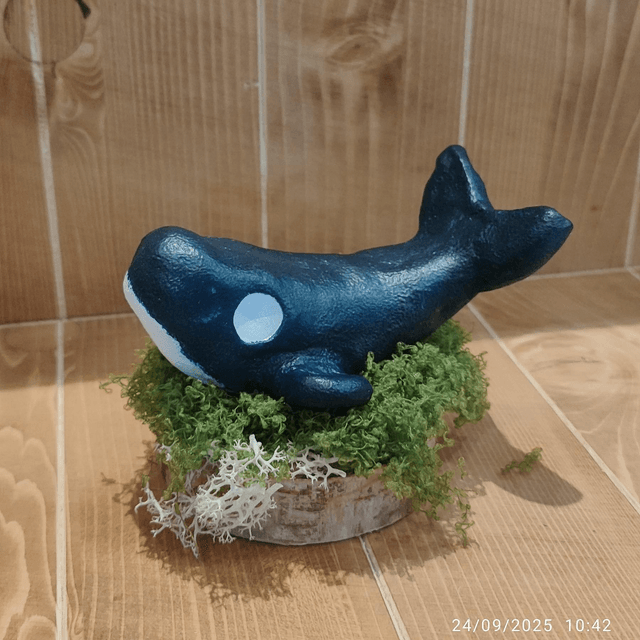 Darumas "Baleine"