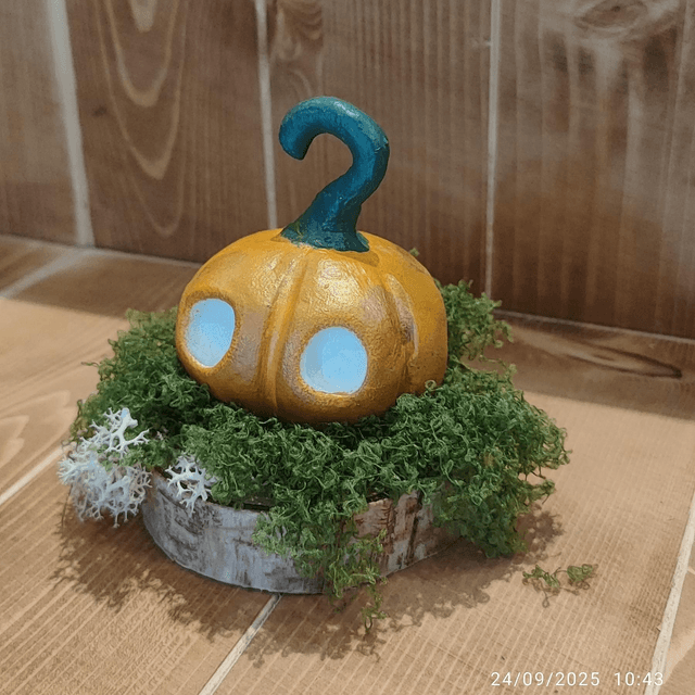 Darumas Courge #2