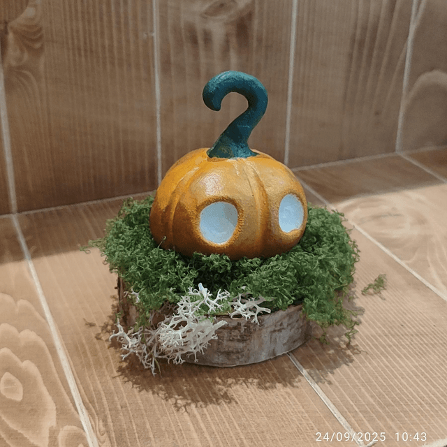 Darumas Courge #2