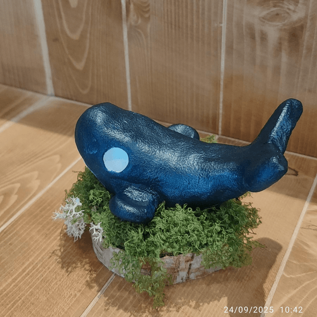 Darumas "Baleine"